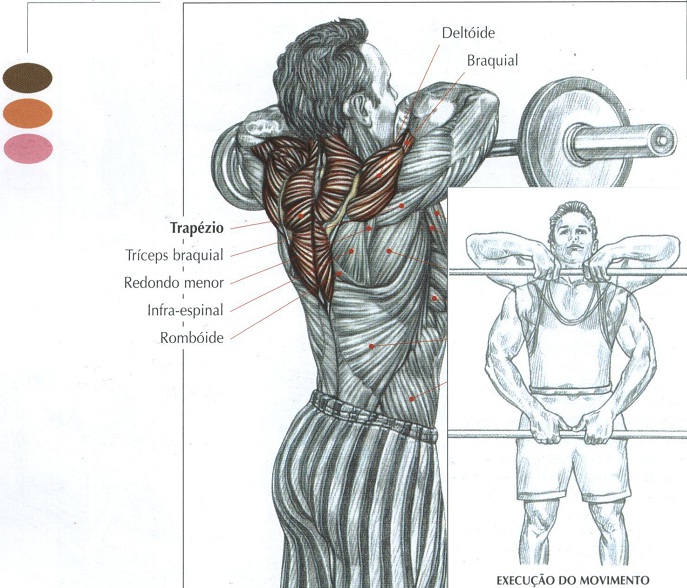 TRAPEZIO3.jpg
