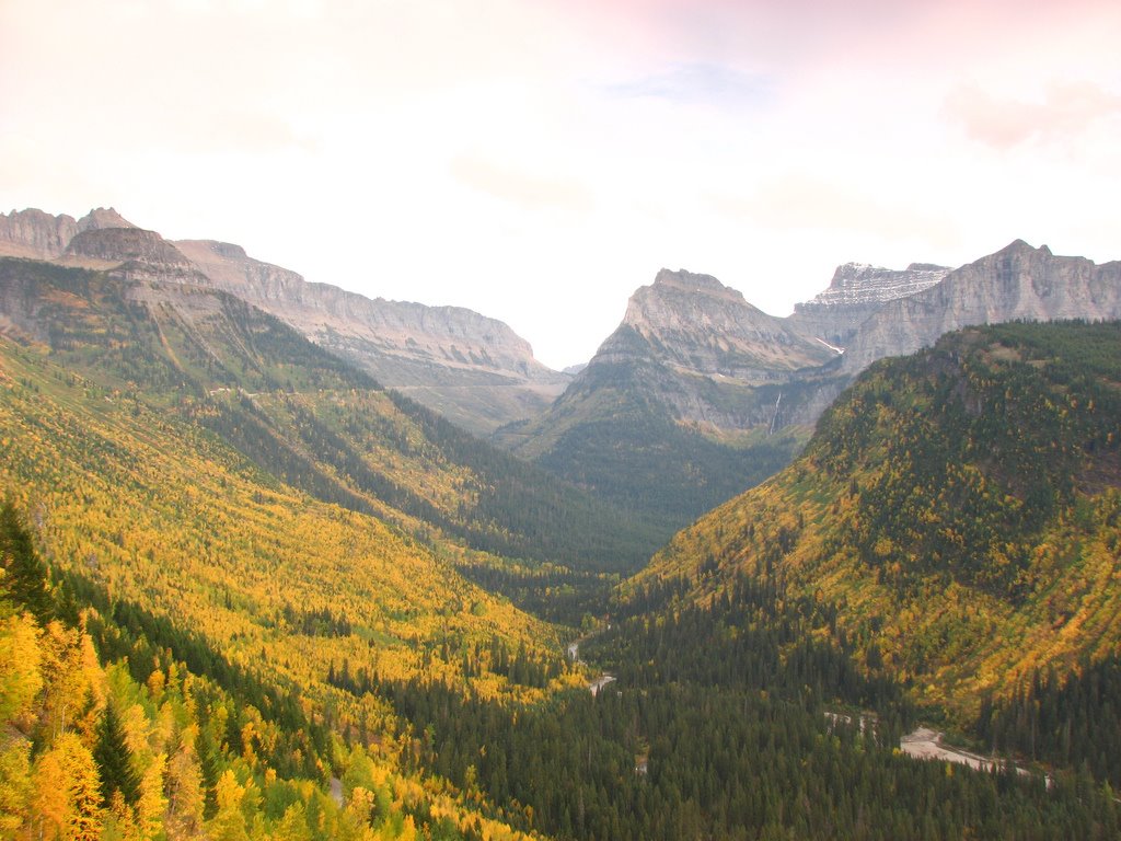 [mountains_trees_light.jpg]