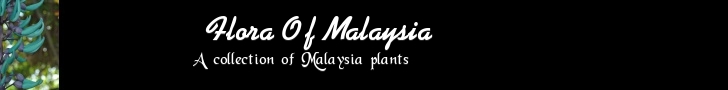 Flowers of Malaysia