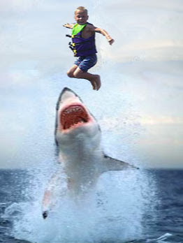 jumptheshark.jpg