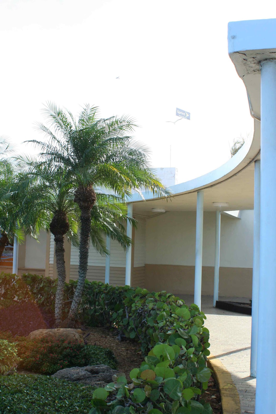 View from Virginia Key MiMo on Virginia Key