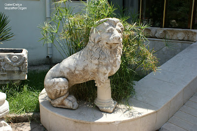 DSC01907.JPG