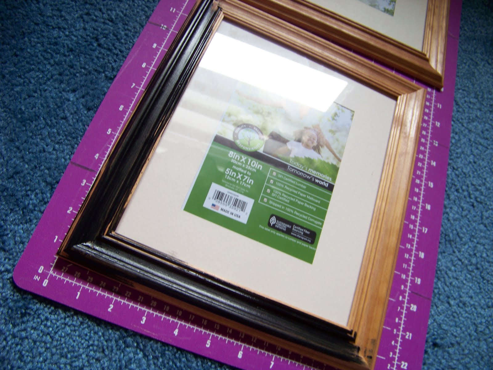 Because I Can Faux Cupboard Picture "frames"