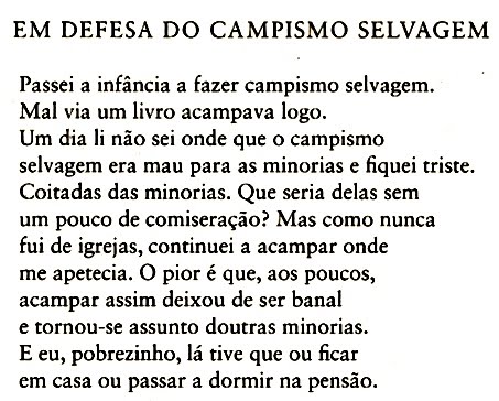 [campismo+selvagem.jpg]