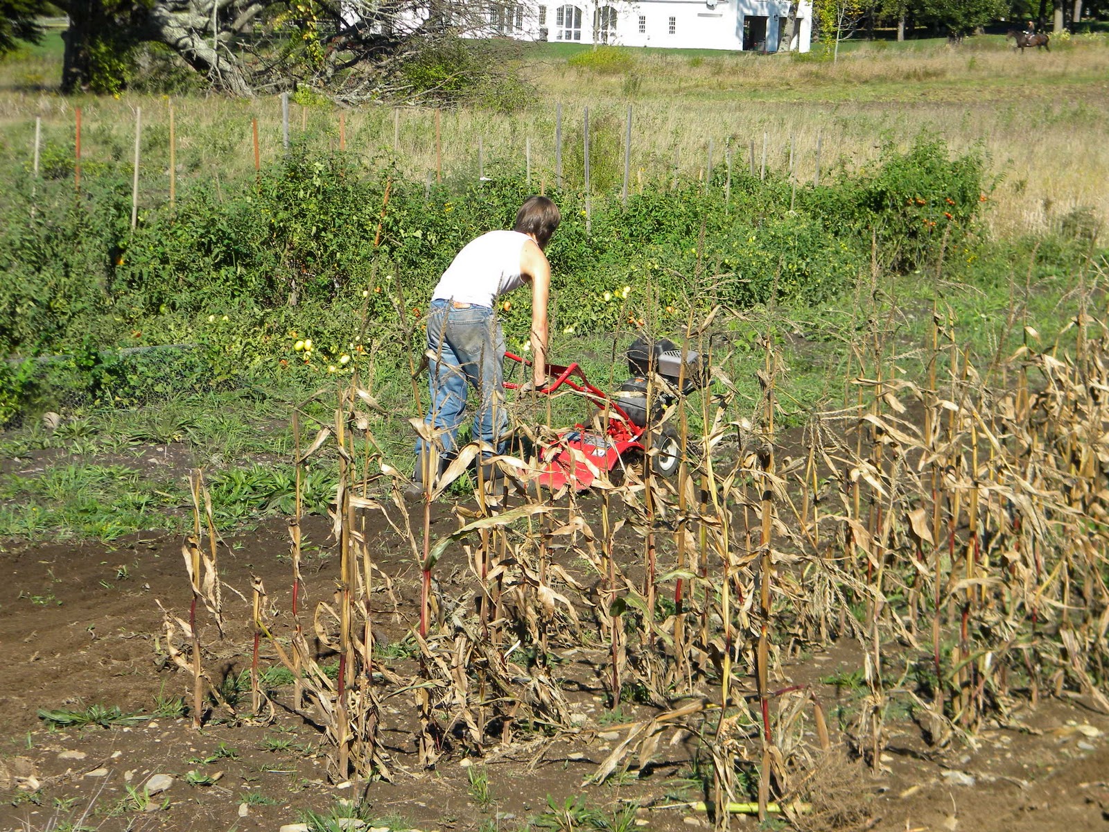 One Happy Little Farm Till The Land
