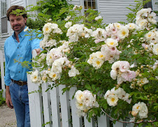 Me, the plant geek, sharing the shot with my Goldfinch rose