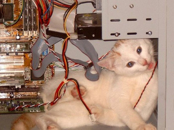 [!cid_005b01c96b83$fc9d880000a8c0@DellComputer.jpg]