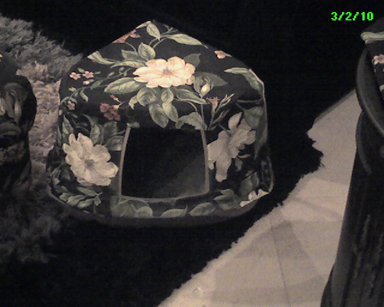 Feng Shui Truth and Tips Litter box feng shui