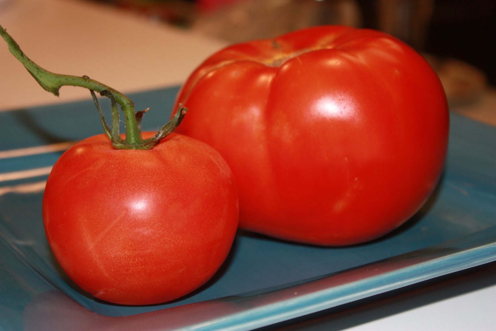 20 Lbs To Go Take 49 Day 7 Tomato Binge Or Bust 