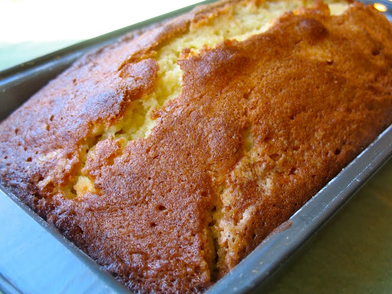 The Hungry Dog Honey and vanilla pound cake