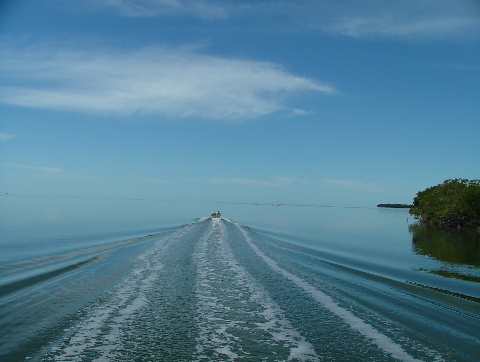 Tampa Bay Kayak Fishing Chokoloskee Island Spring Break