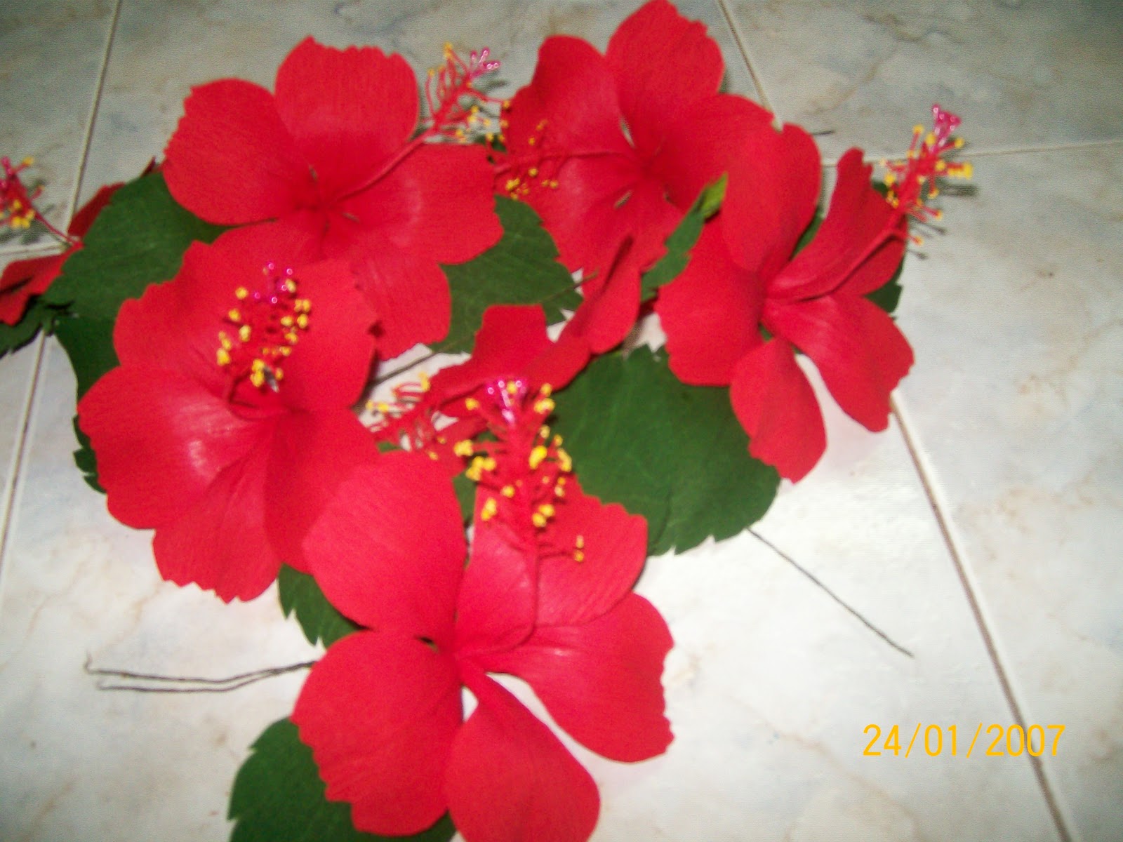 10 lines on hibiscus flower in hindi image