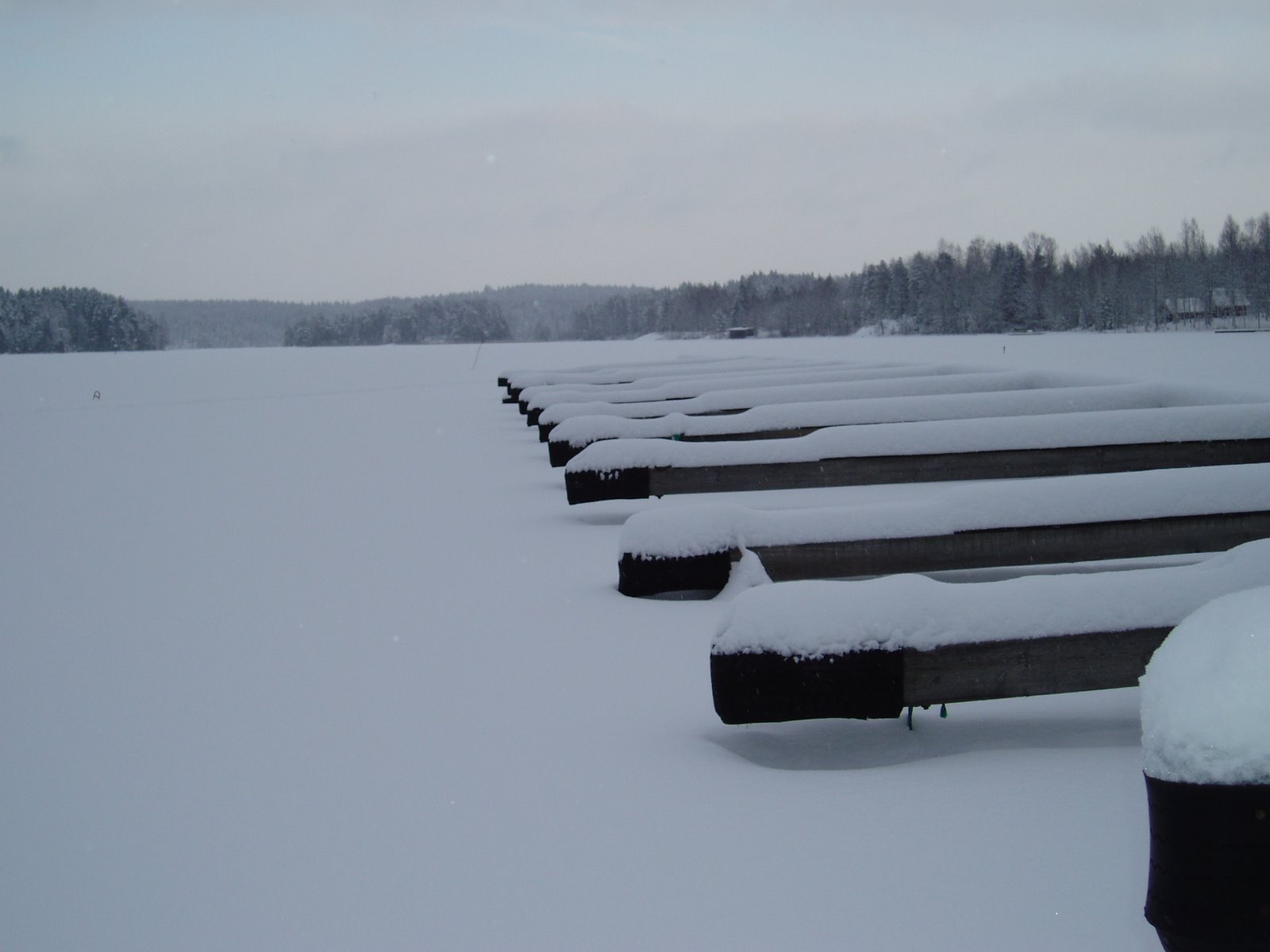 [olympus+joulu-tammikuu2009+016.JPG]