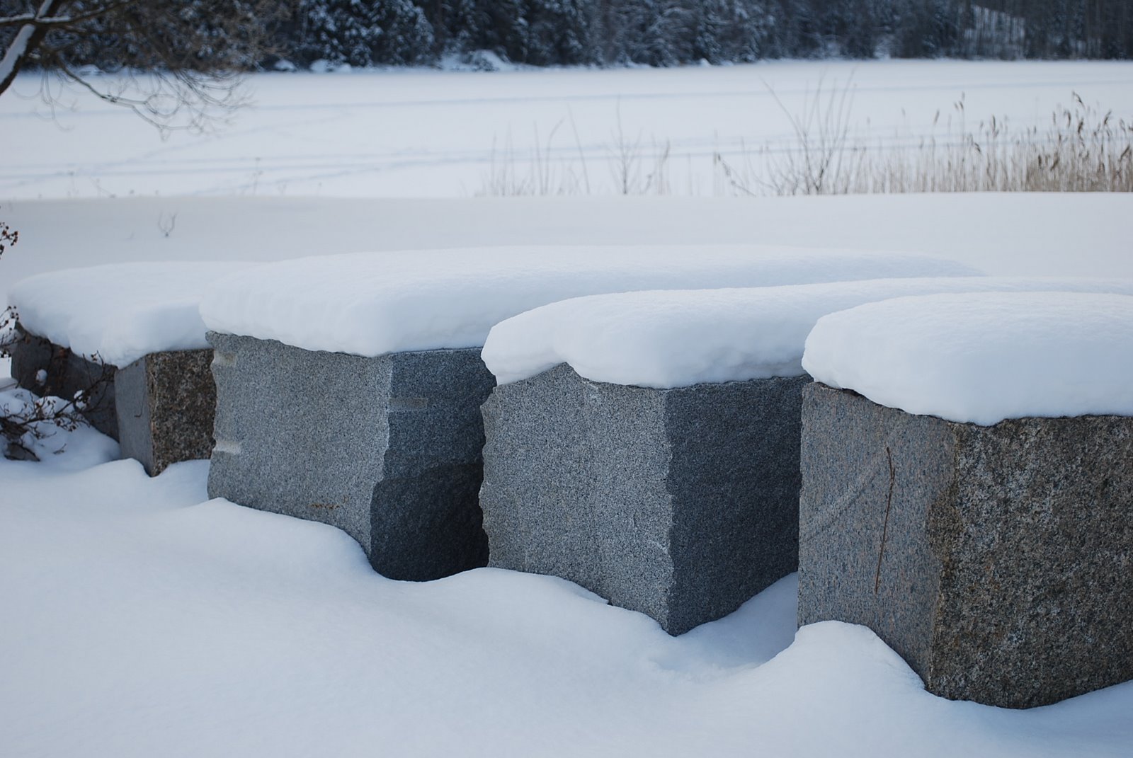[TAMMIKUU09+011.JPG]