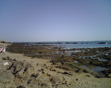 Rocas Playa Santa Catalina