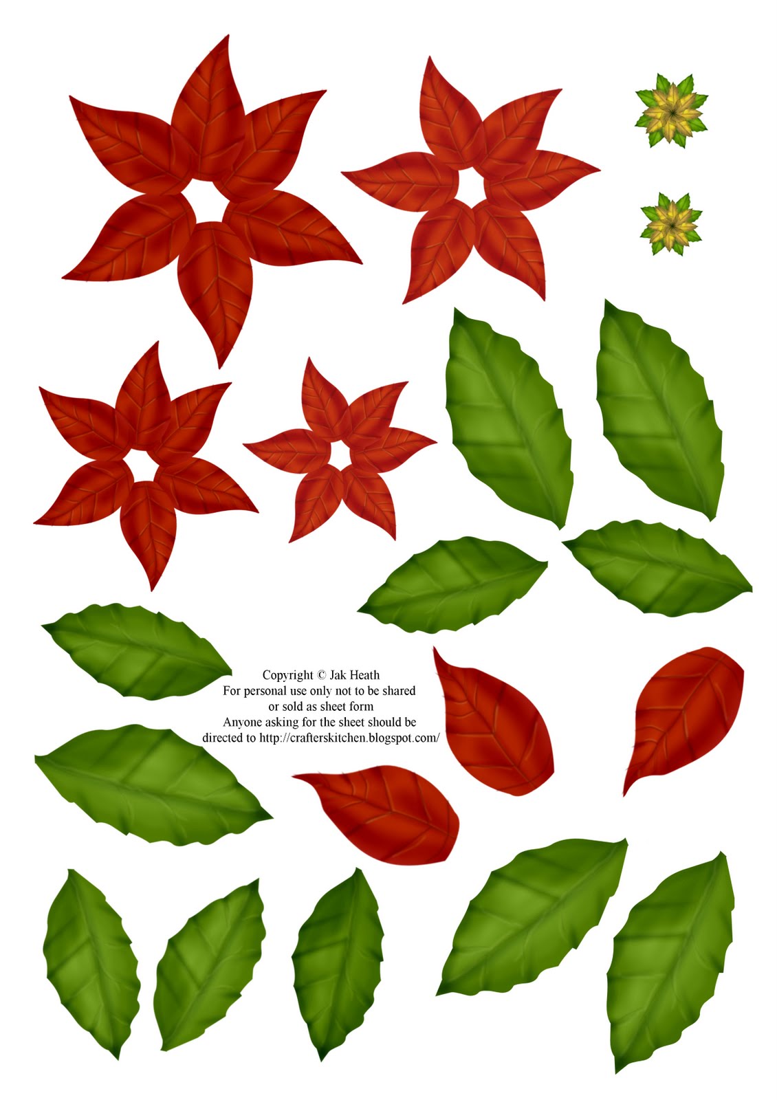 [poinsettia.jpg]