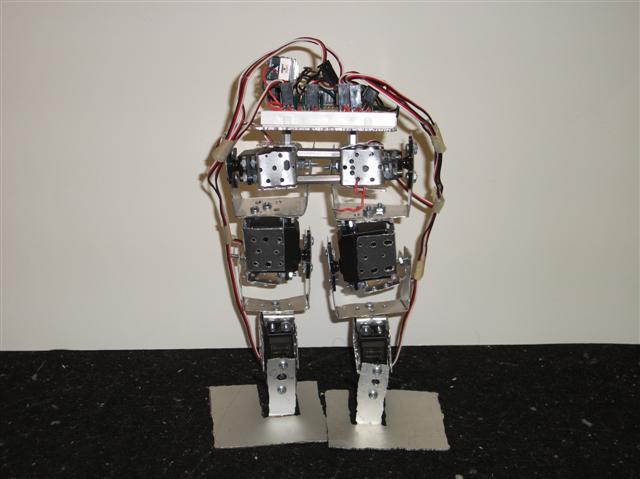 Going's on of Otto's Pastimes: Arduino Controlled Biped Robot