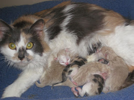 Macie and her New Babies!