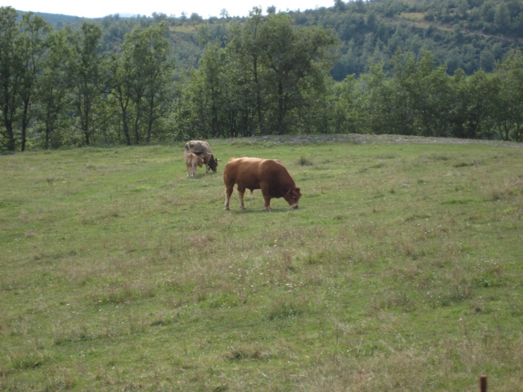 aranrunners Pedals de foc (3 días)