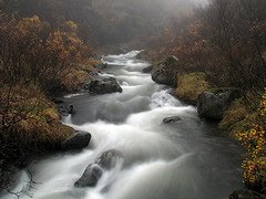 [1798080106_89c9d1ac37_m.jpg]