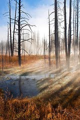 [2949988700_530d9e15a0_m.jpg]