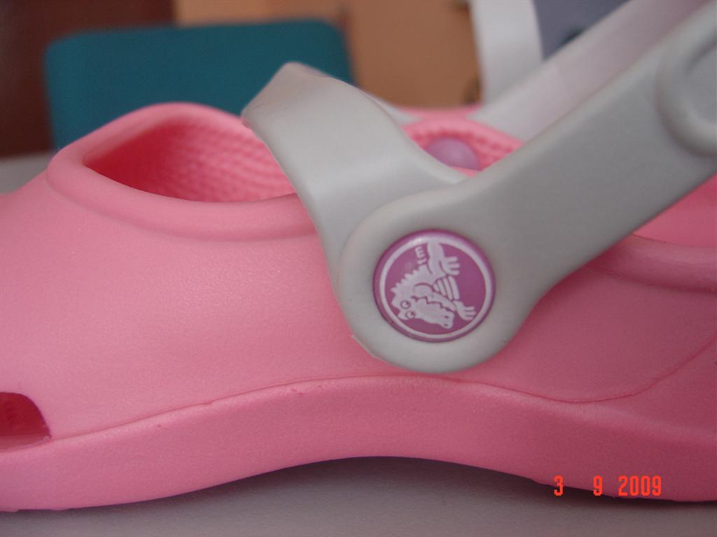 [DSC03481+(Large).JPG]