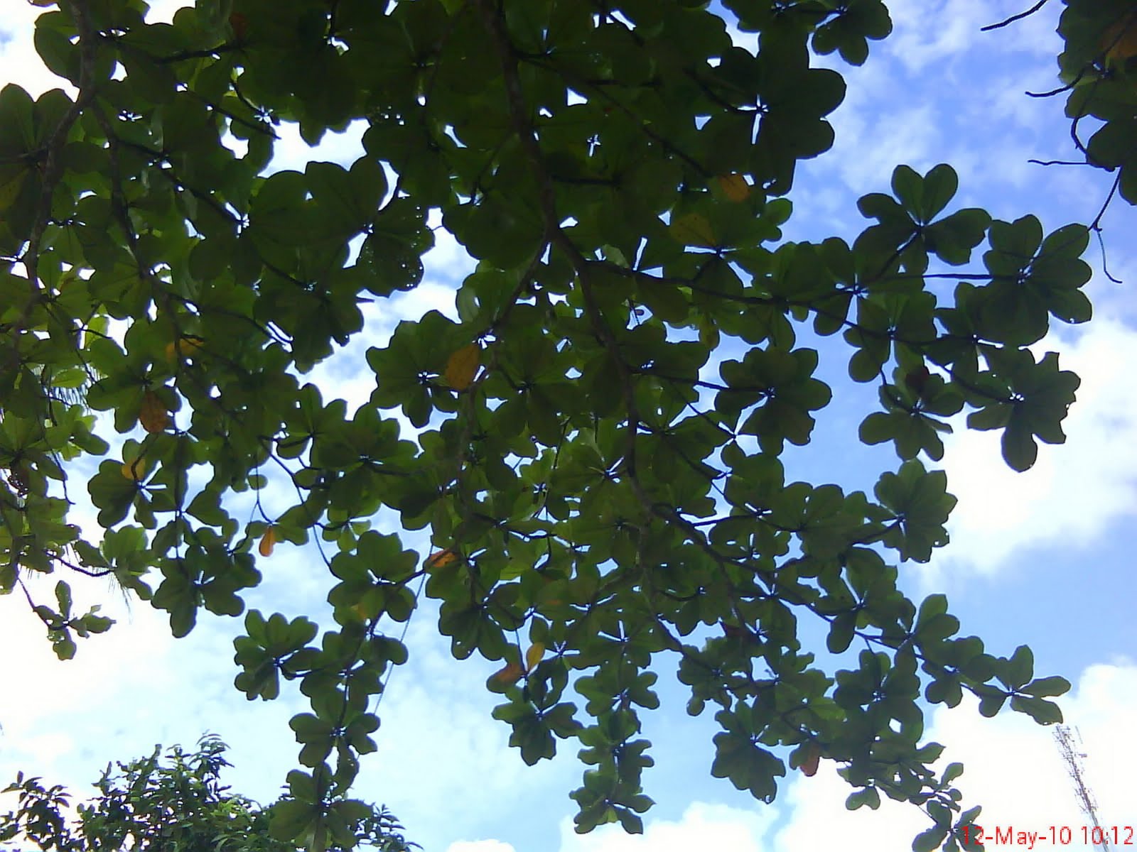 Favorite view. Кафе в париже с видом на эйфелеву башню. Favorite view. Программа для визуализации данных. Favorite view.