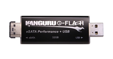 [Kanguru-eSATA-USB-Flash-Drive.jpg]