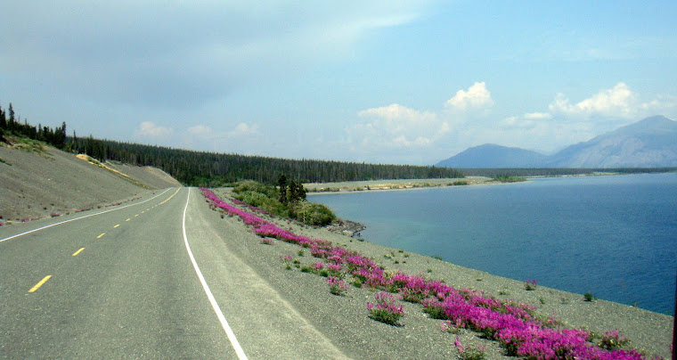 Beautiful Scenery on Way to Beaver Creek