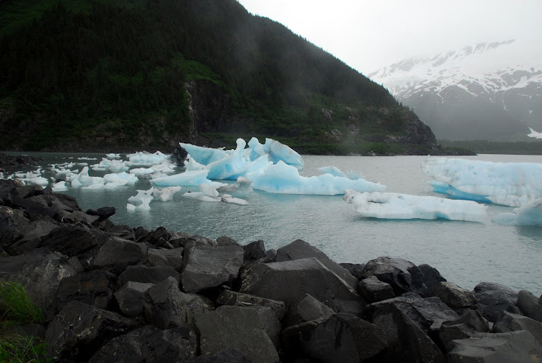 Icebergs Outside of Whittier, Alaska