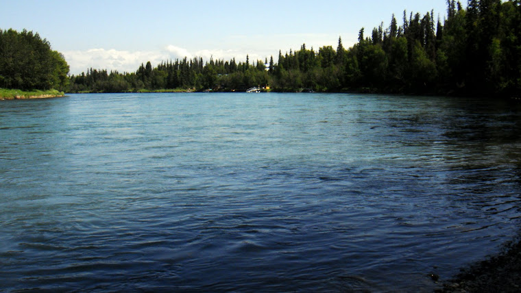 Kenai River in Soldotna at the Edgewater RV Park