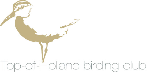 Alles over vogelen en vogels in de Top-of-Holland