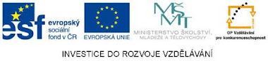 Podpora Evropského sociálního fondu