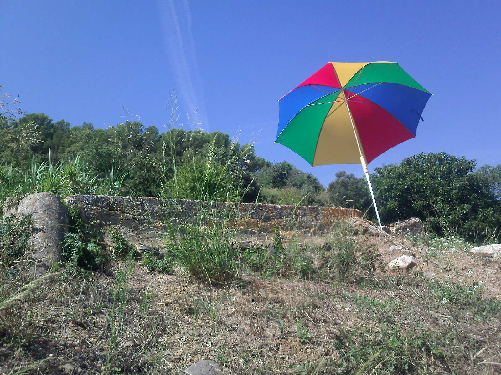 Gran Boyero Suizo PARA SOL