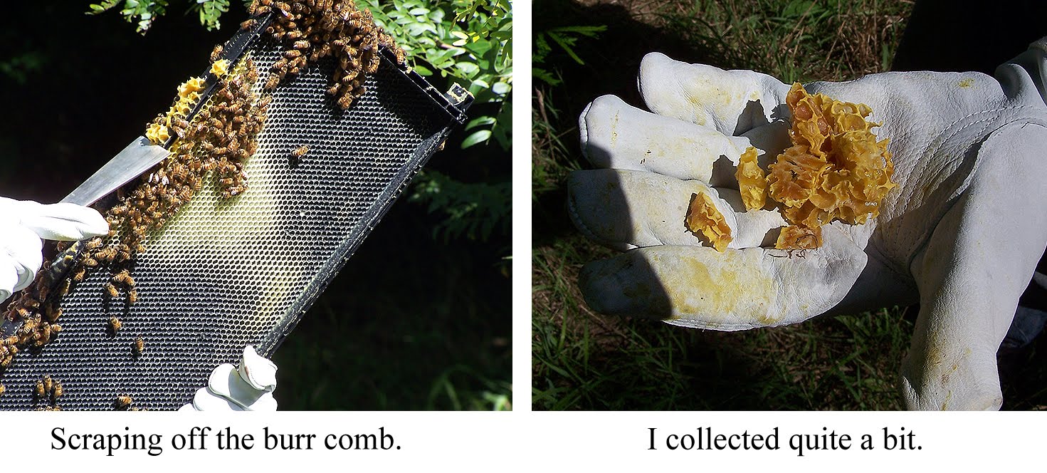 I've Got Hives!: Second-Story Inspection, or 