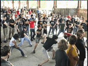 Gifs+WTF+%281%29.gif