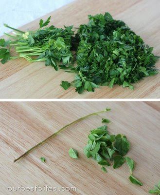 Fresh Herbs and the Garden | Our Best Bites