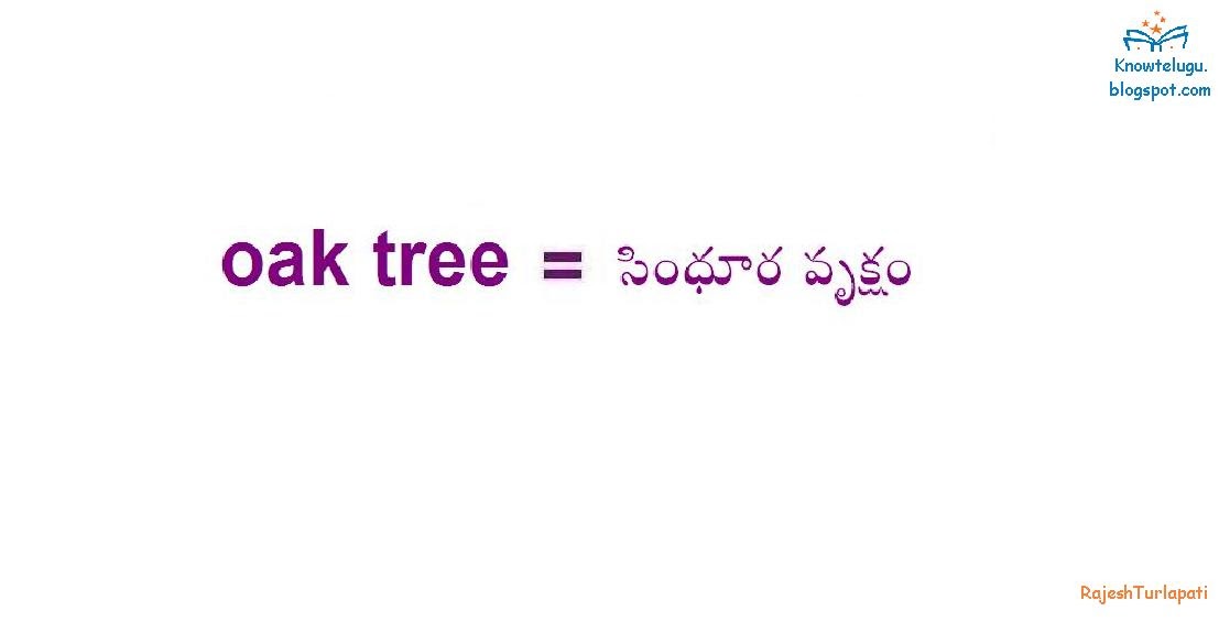 Know Telugu English Telugu Dictionary Oaktree