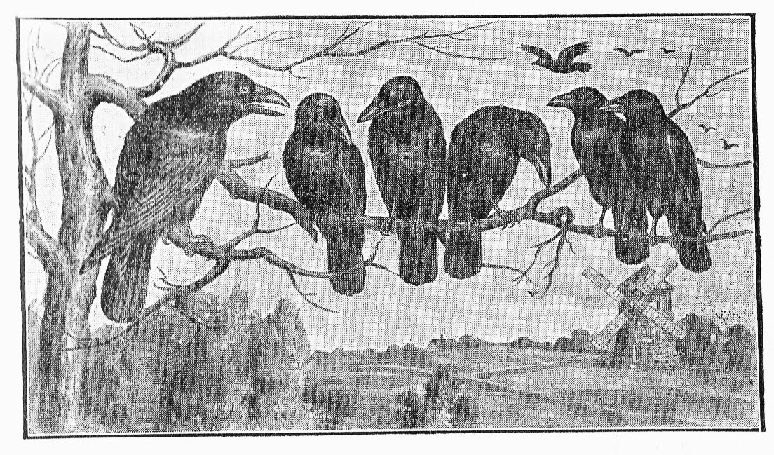 Arachneas Attic Vintage Crows in a Line
