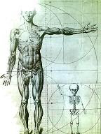 Cómo hacer bp postural