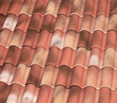 DUPLABON c,b: marzo 2009