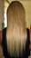 Gorgoeous Hair