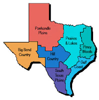 Grams Made It: The Truth About Texans