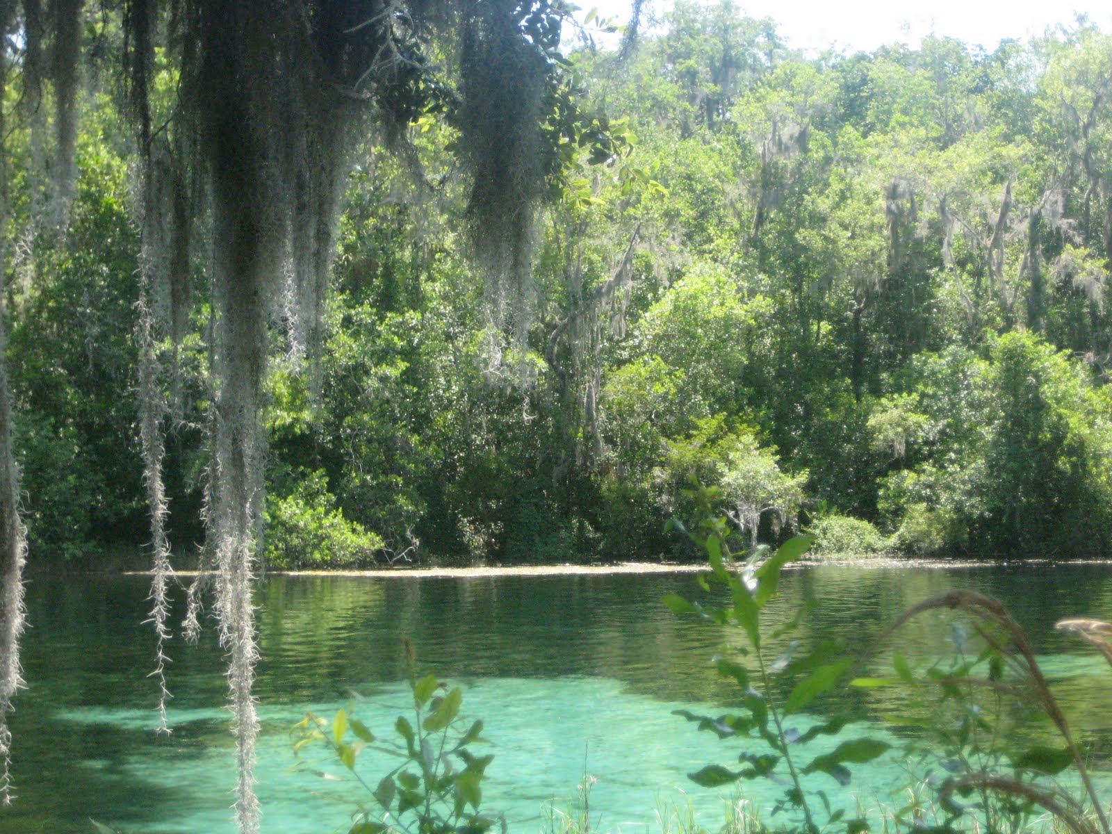 Carolina Girl Rainbow Springs