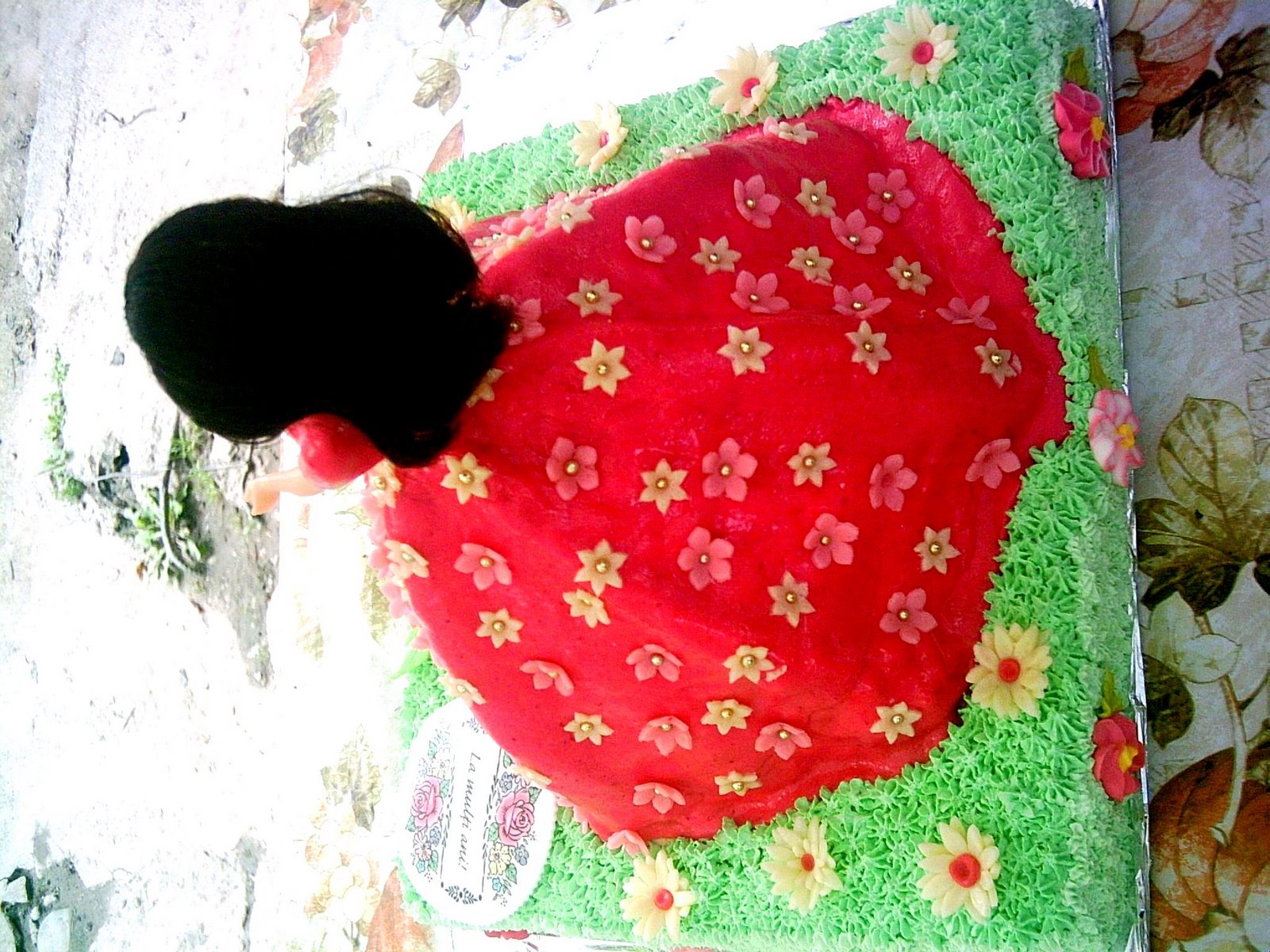 [PICT0065.JPG]