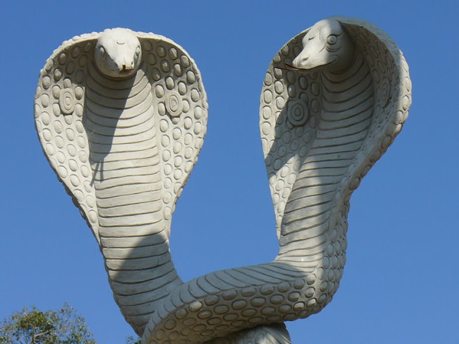 Snakes in air