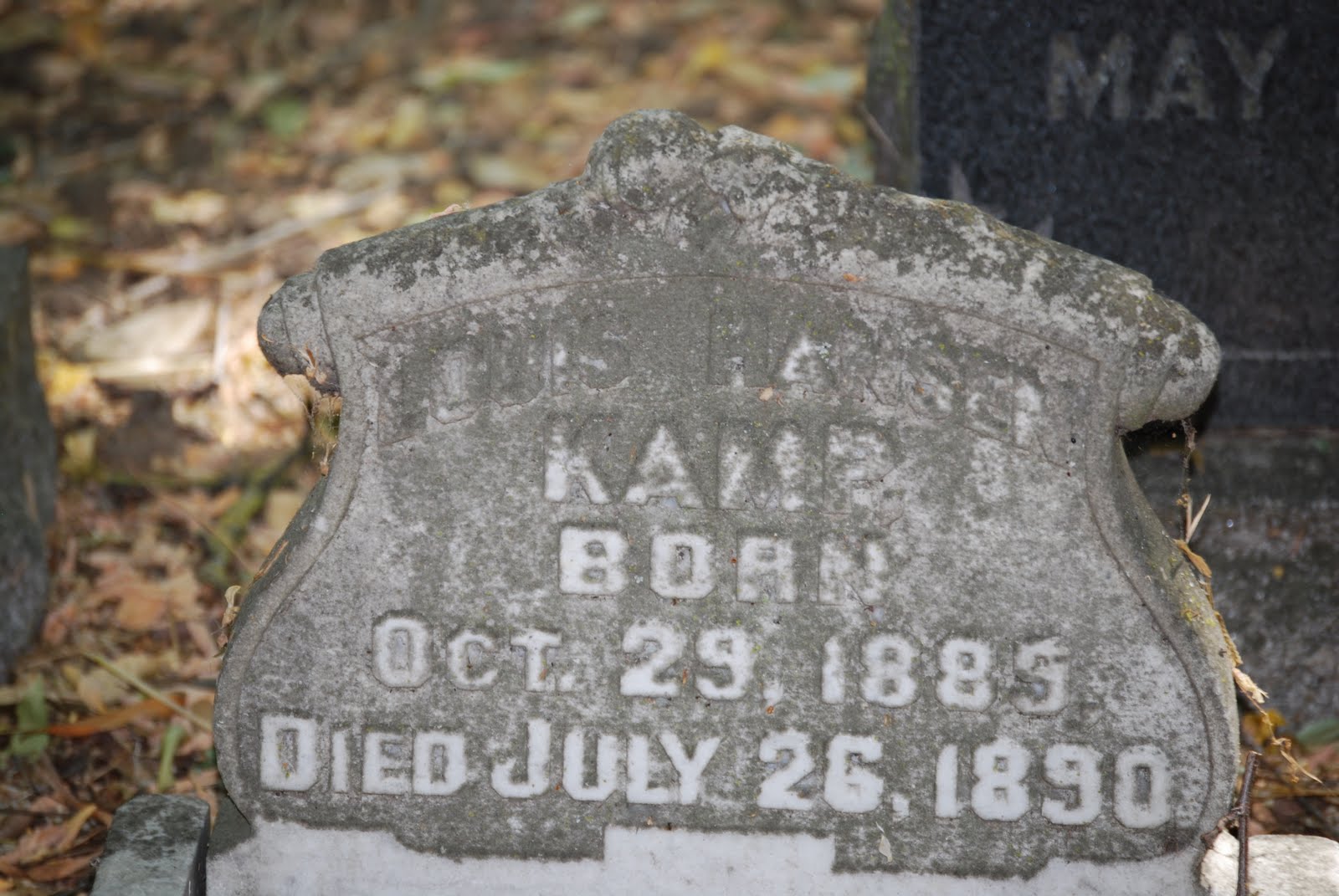 Graveyard Rabbit of South Alameda County Kamp Headstone in the Dublin