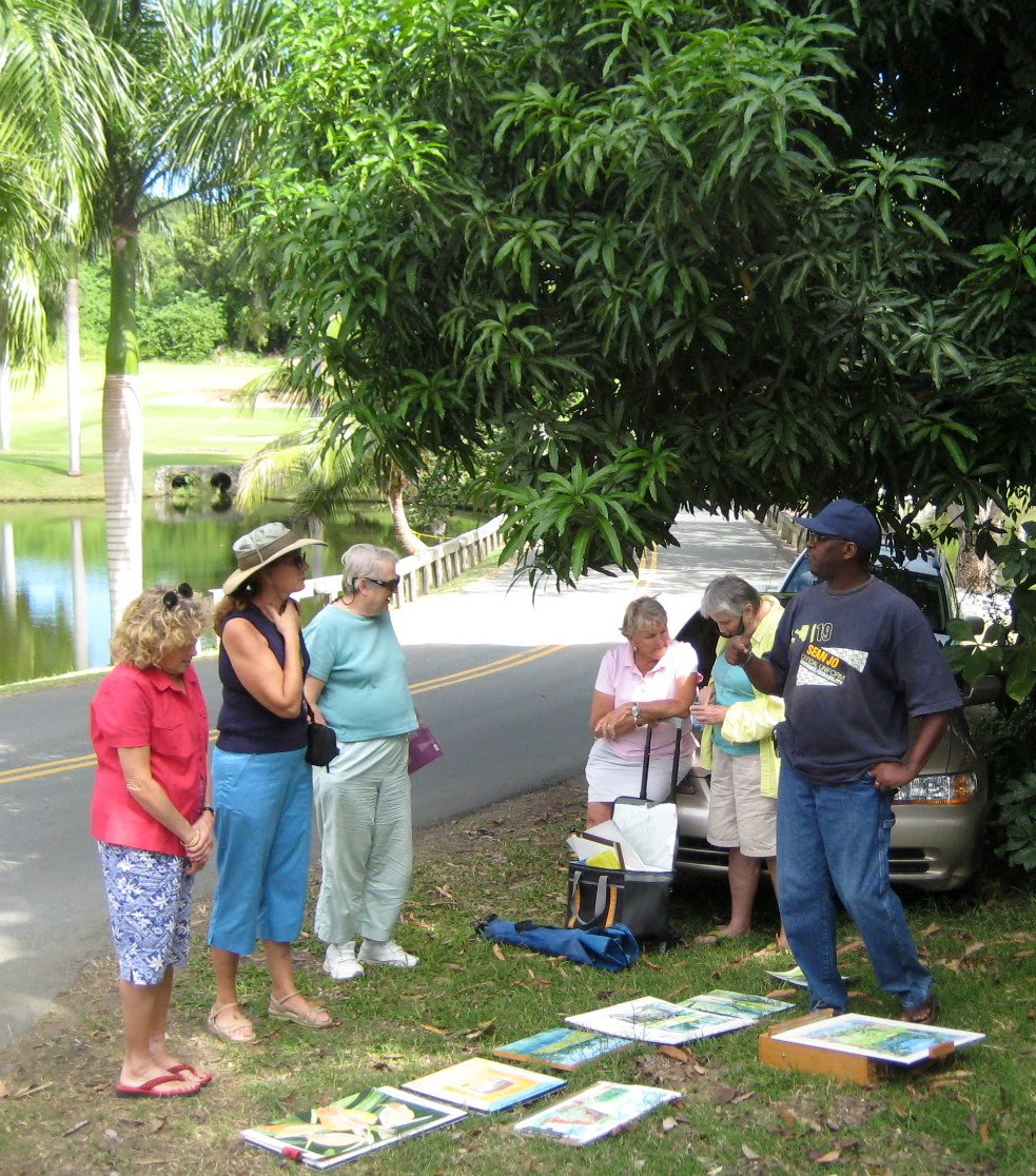 The Palletteers of St Croix: Carambola Golf Course