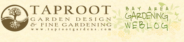 Taproot Garden Design & Fine Gardening