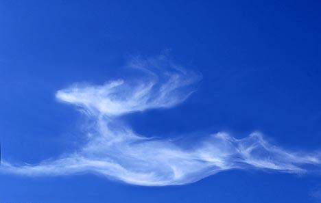 [weird_cloud11.jpg]